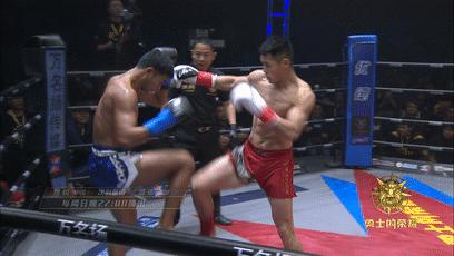 魏锐最新动态揭秘，全方位解读与观点阐述